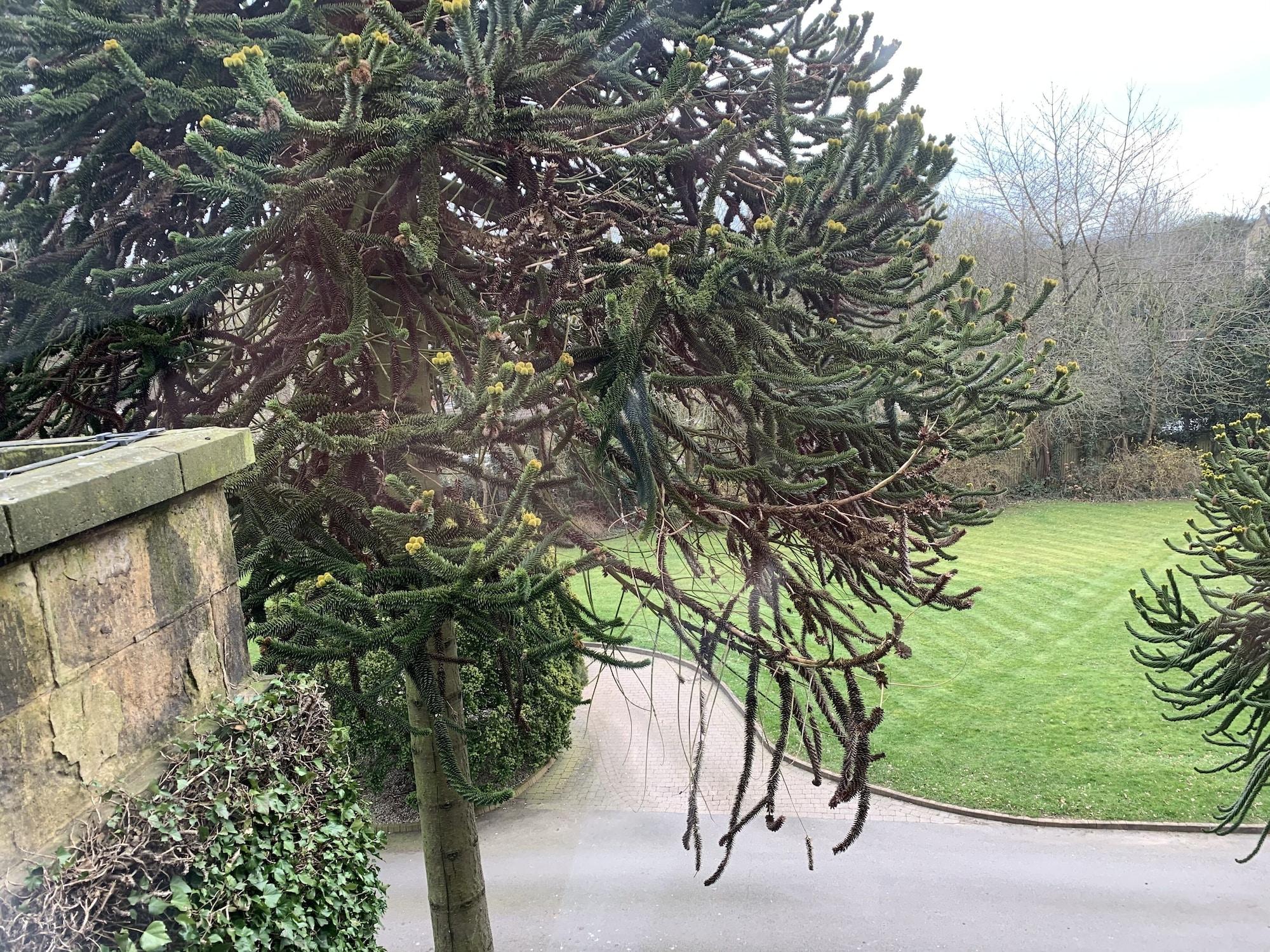 Best Western Plus Sheffield Mosborough Hall Hotel Exterior foto